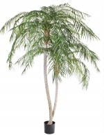 Phoenix palm 2 stammen 225cm UV bestendig